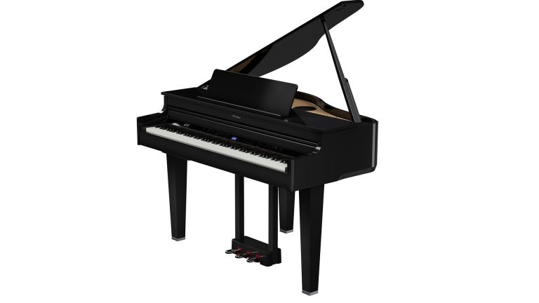 Roland GP-6 PE