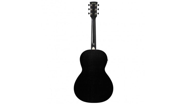 Ibanez PN14MHE-WK Akusticna gitara sa ozvukom