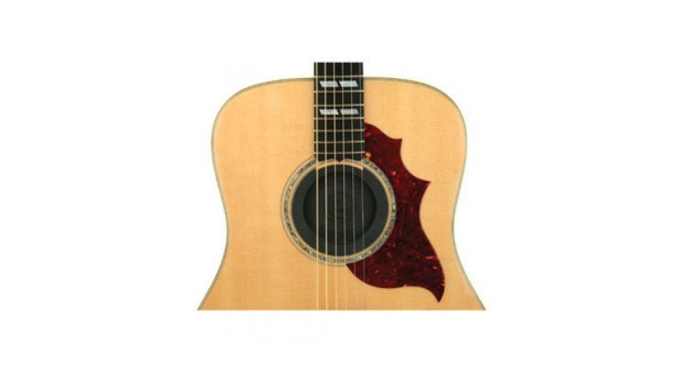 D'Addario PWSH01 Planet Waves Soundhole Cover